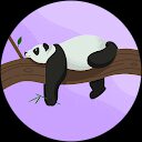 Juul De Jonge profile picture